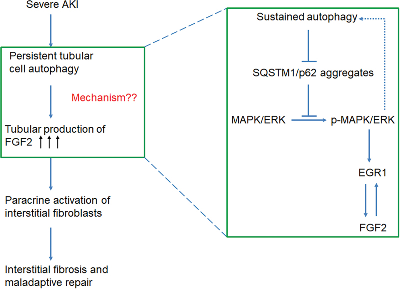 Figure 11.