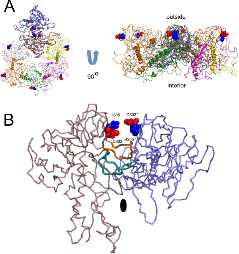 FIGURE 7.