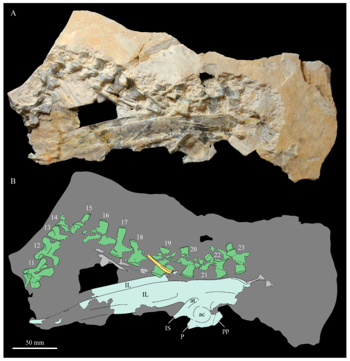 Figure 35