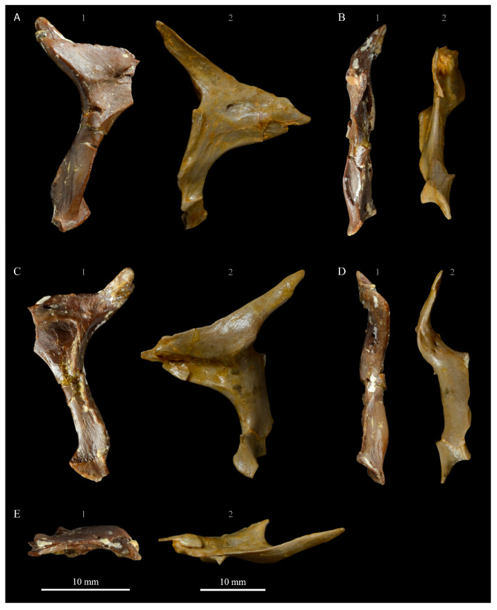 Figure 14