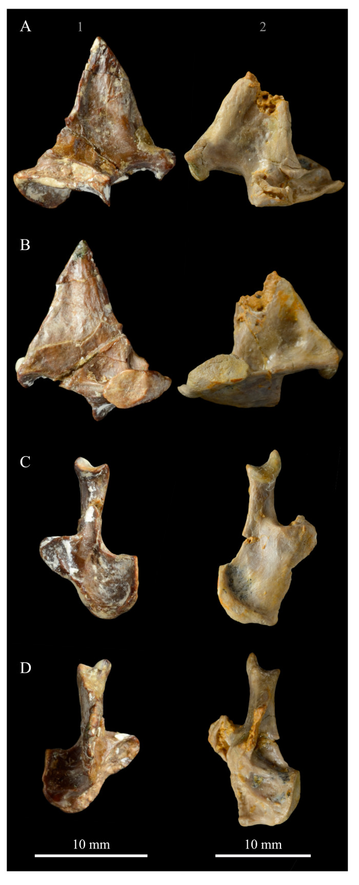Figure 20