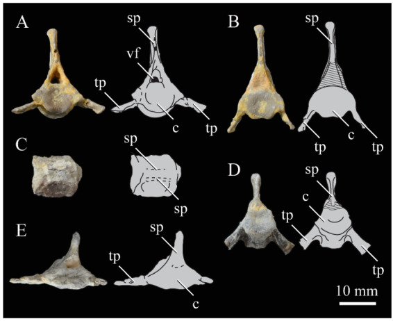 Figure 42