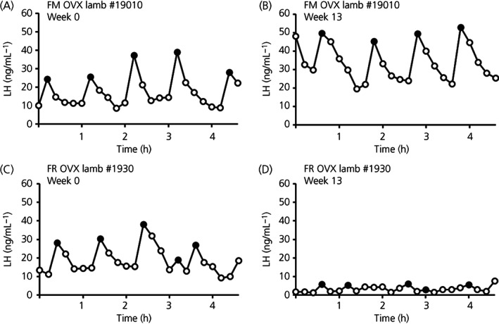 FIGURE 2