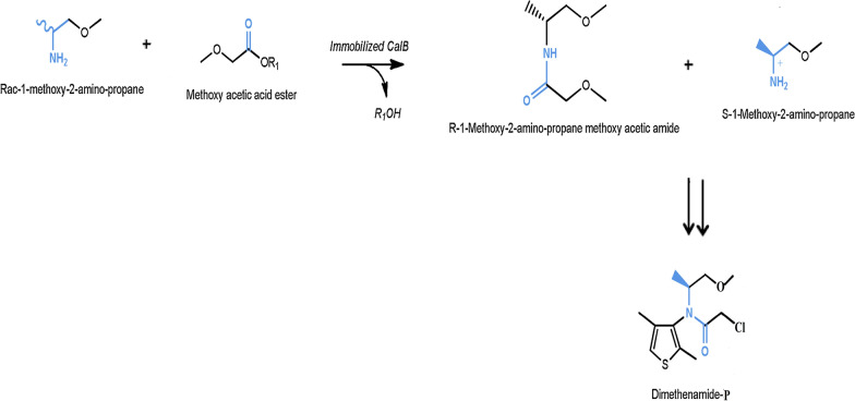 Fig. 7