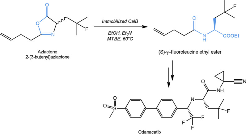 Fig. 8