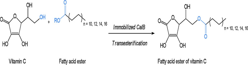 Fig. 3