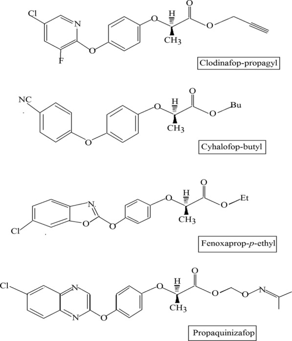 Fig. 5