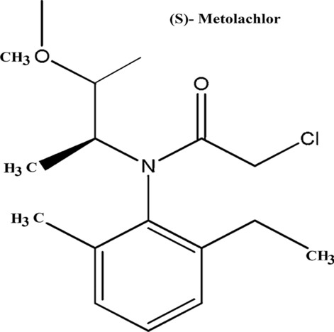 Fig. 6