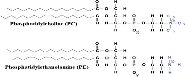 Fig. 4