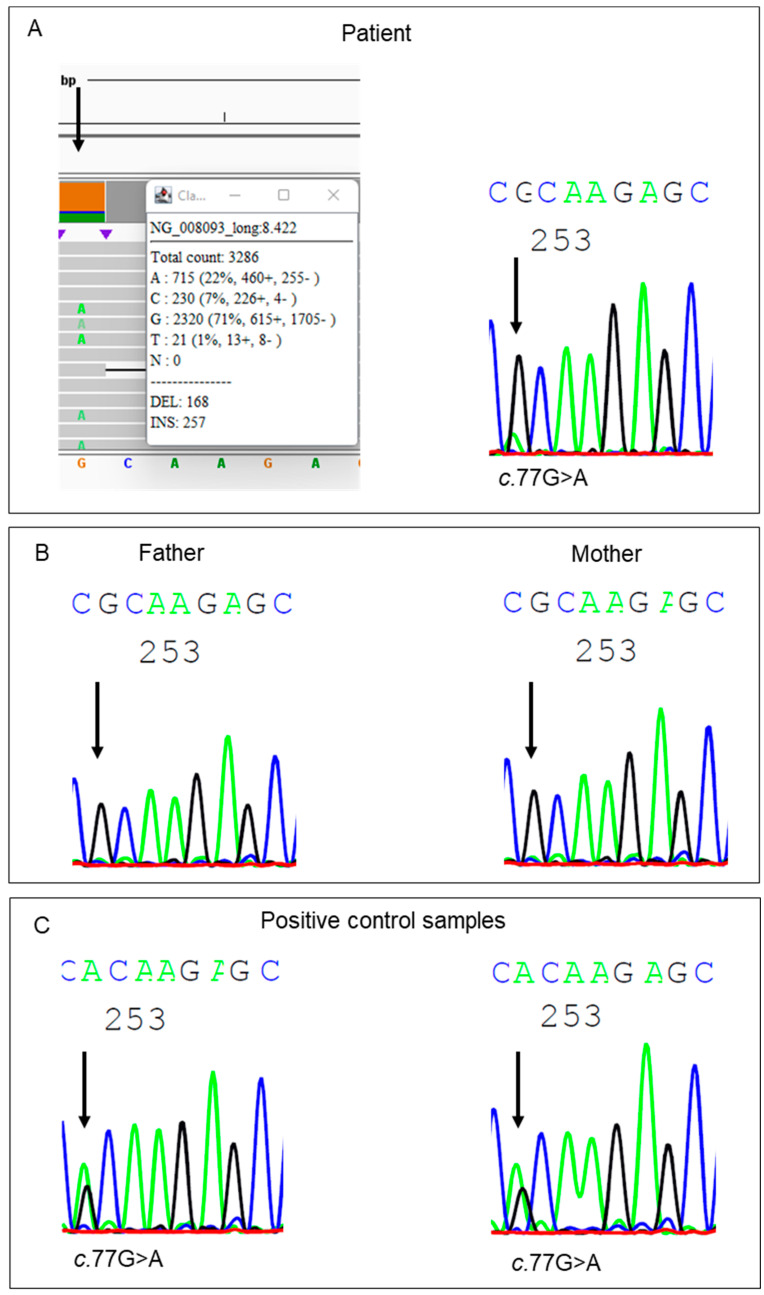 Figure 2