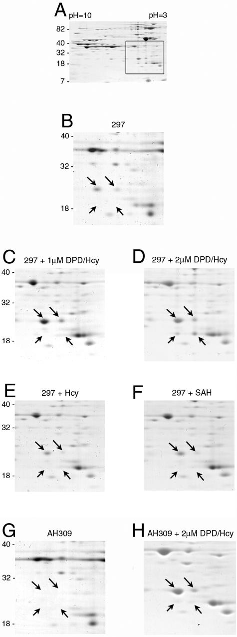 FIG. 5.