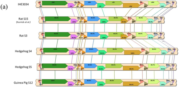 Figure 5.