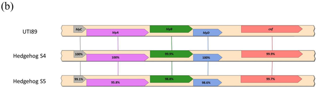 Figure 5.