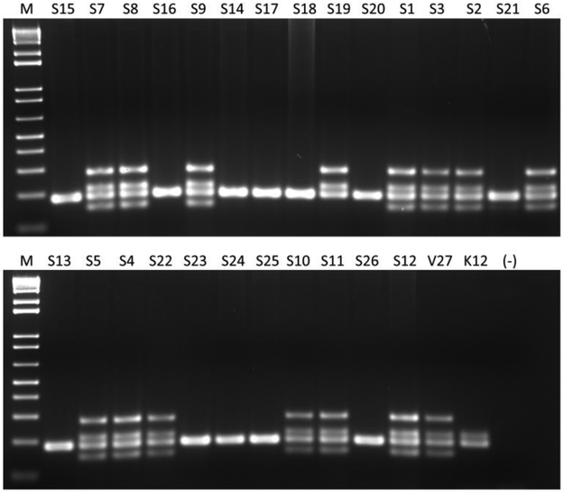 Figure 2.