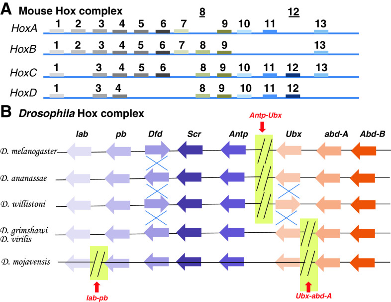 Fig. 2