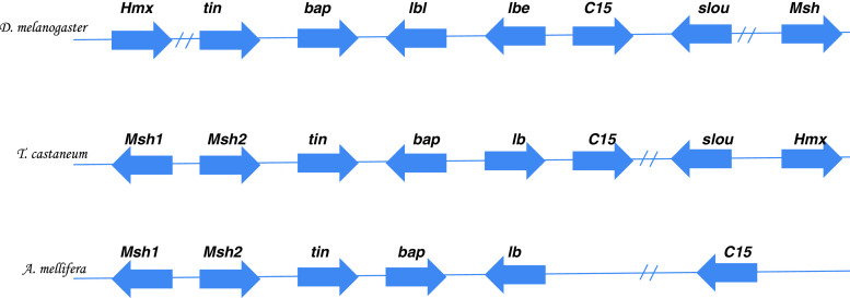 Fig. 6