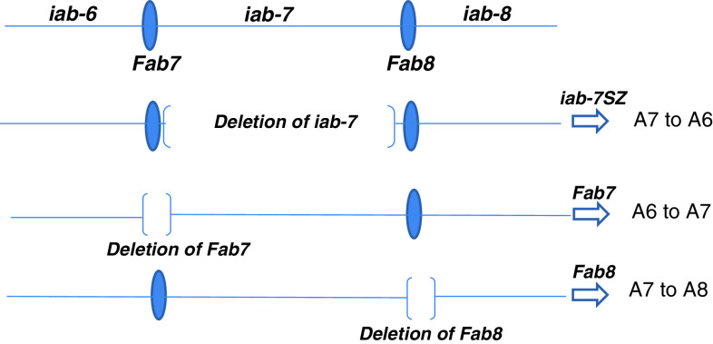 Fig. 4