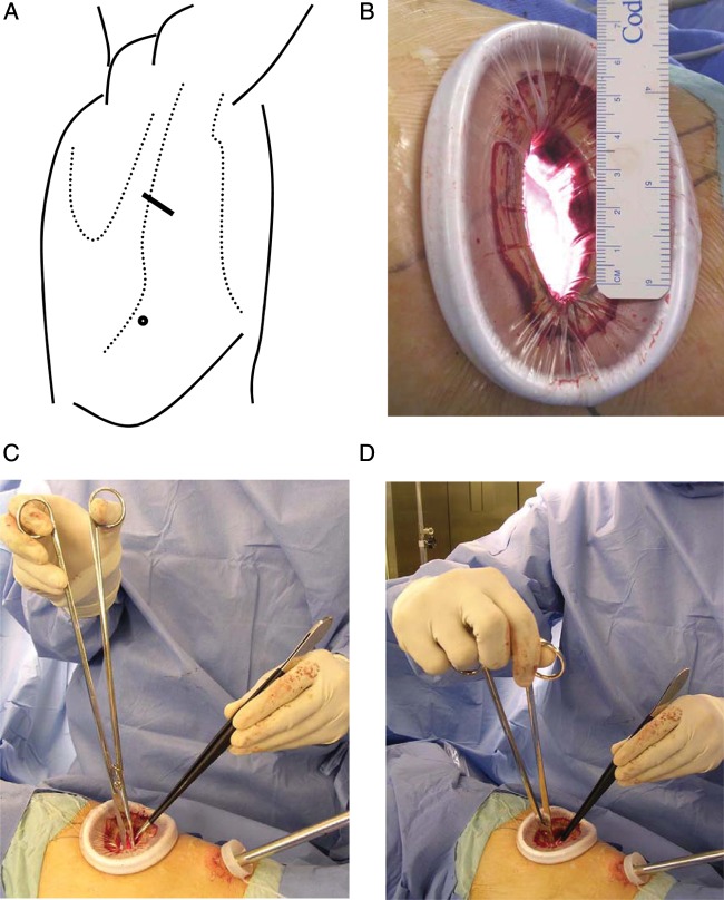 Figure 1: