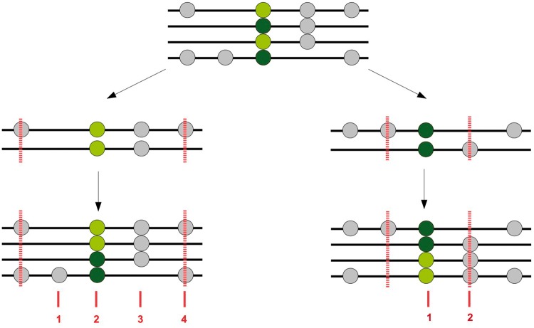 Fig. 1.