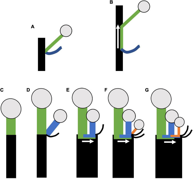 FIGURE 13