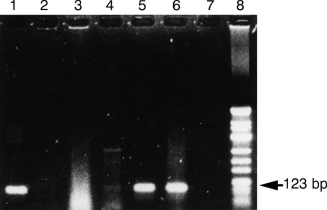 Figure 1  