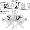 FIG. 8.