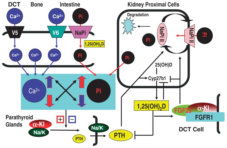 Fig. 2