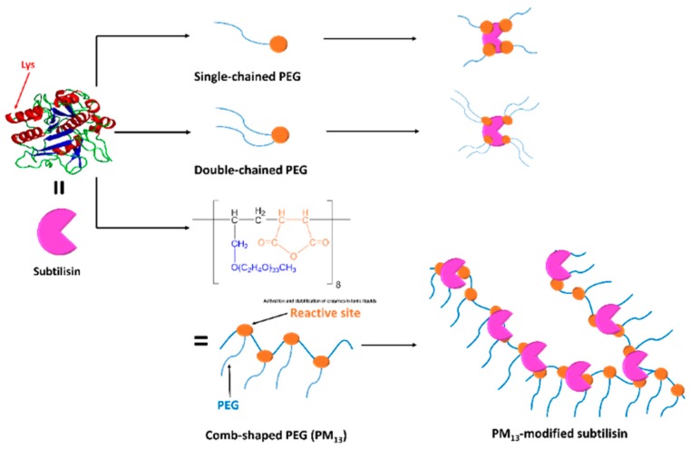 Figure 12