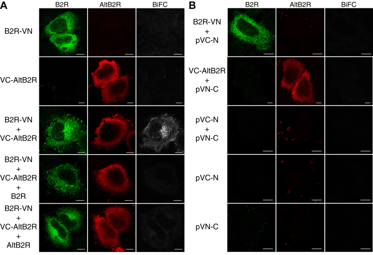 Figure 3