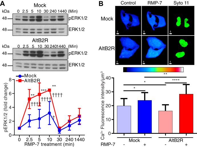 Figure 4