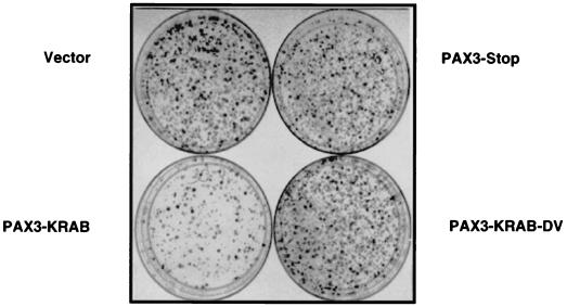 FIG. 5