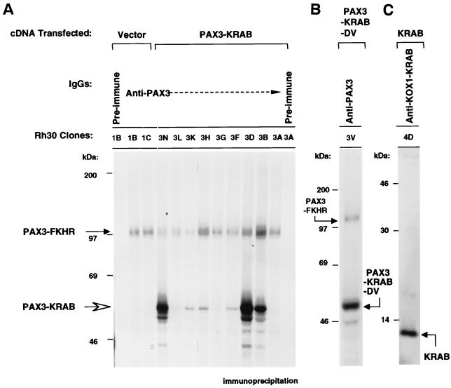 FIG. 6