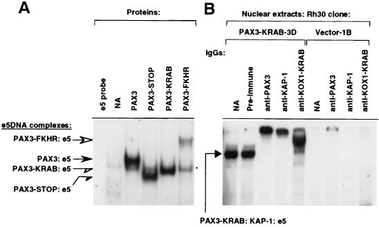 FIG. 3