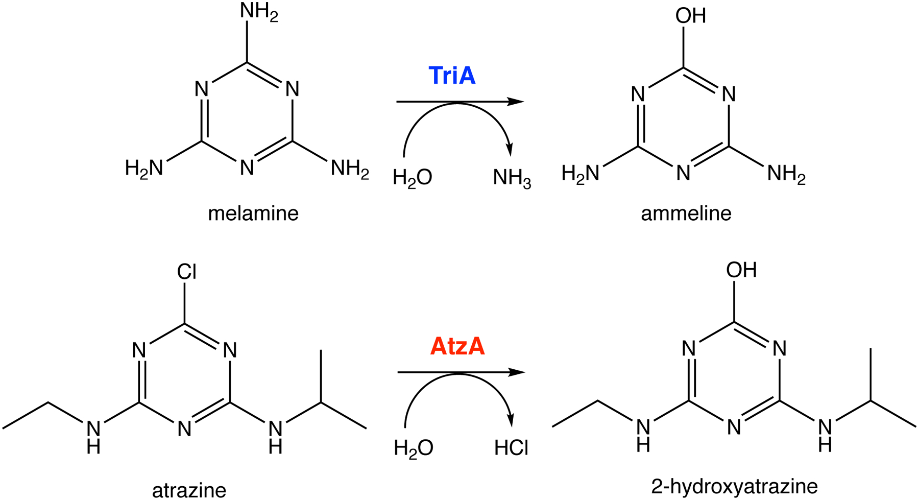 Figure 11.