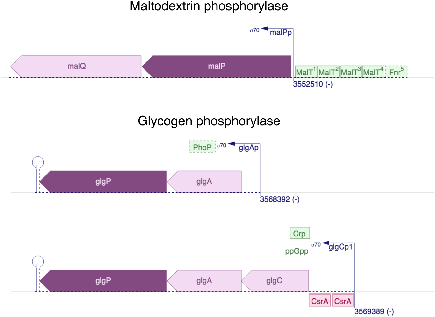 Figure 19.