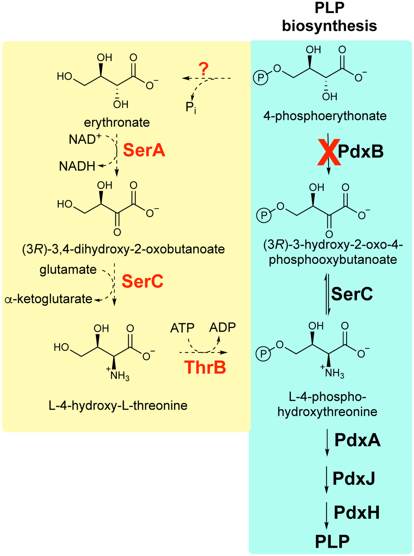 Figure 6.