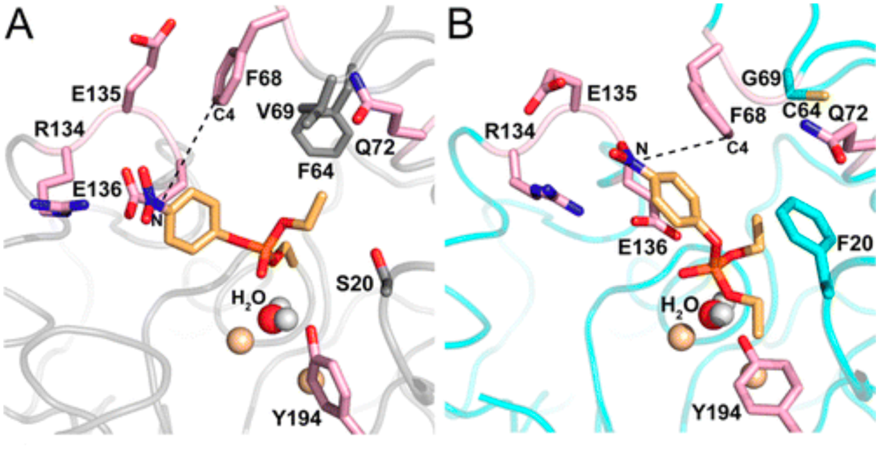 Figure 13.