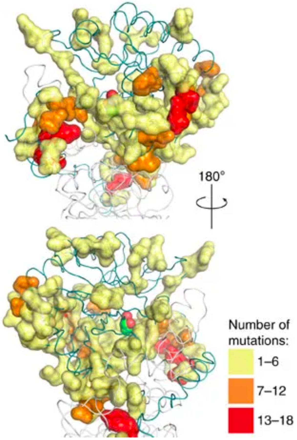 Figure 16.