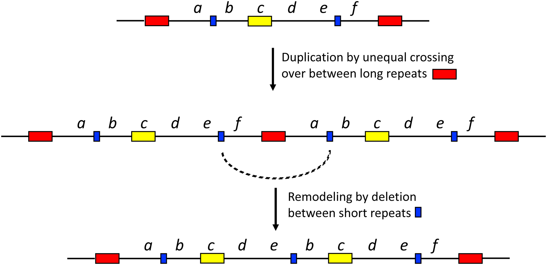 Figure 21.