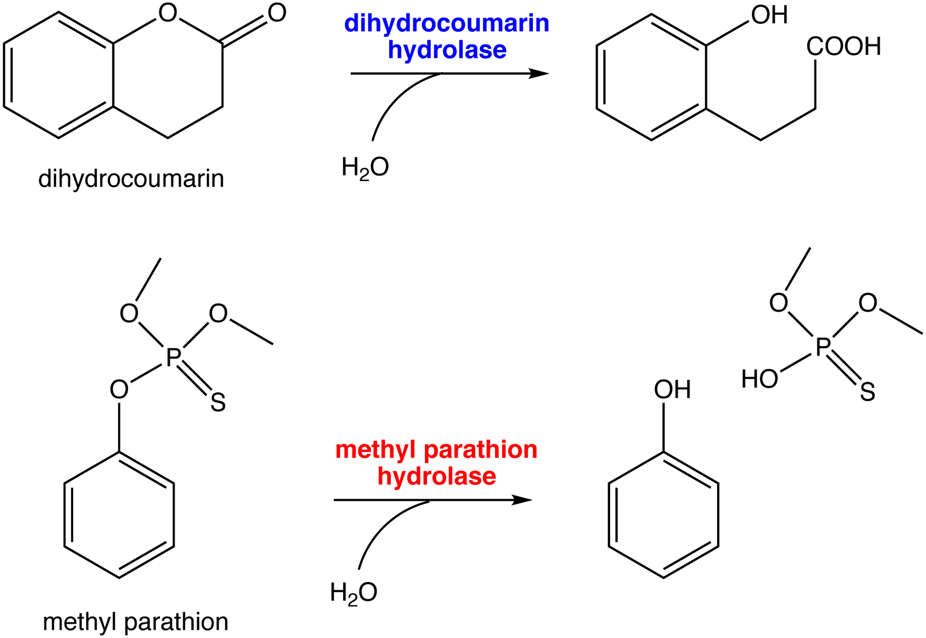 Figure 12.