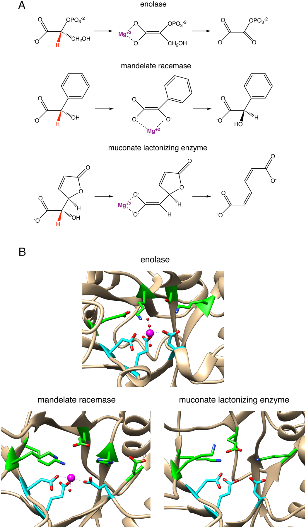 Figure 14.