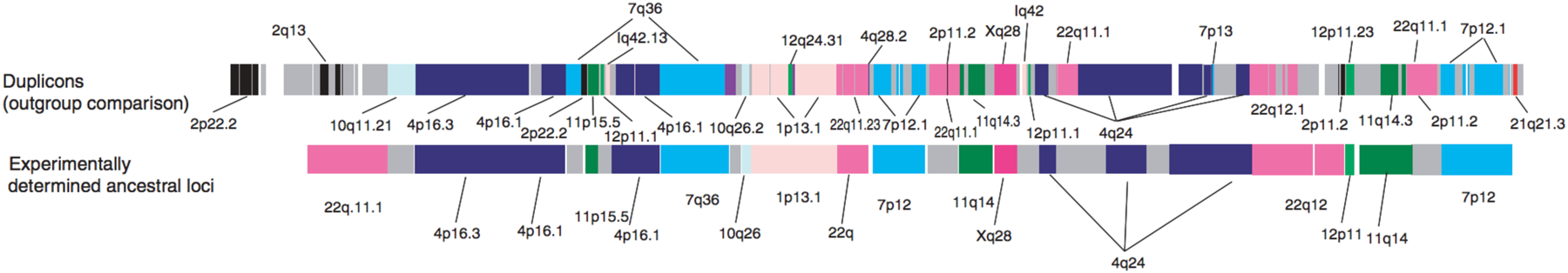 Figure 22.