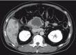 Fig. 4