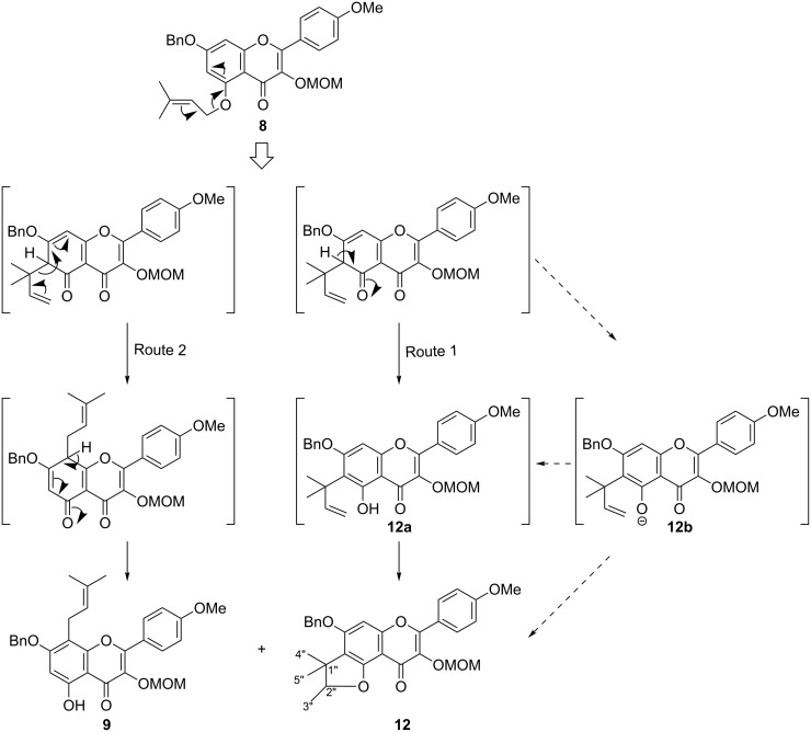 Scheme 3