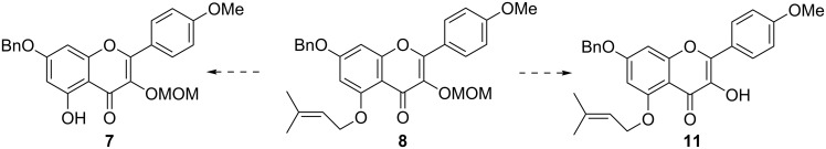 Scheme 2