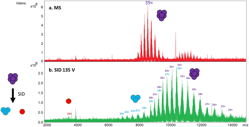 Figure 4: