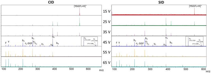 Figure 5: