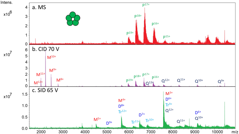 Figure 2: