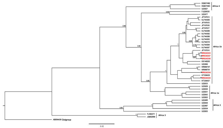 Figure 2