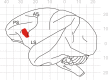 Figure 1—figure supplement 3.